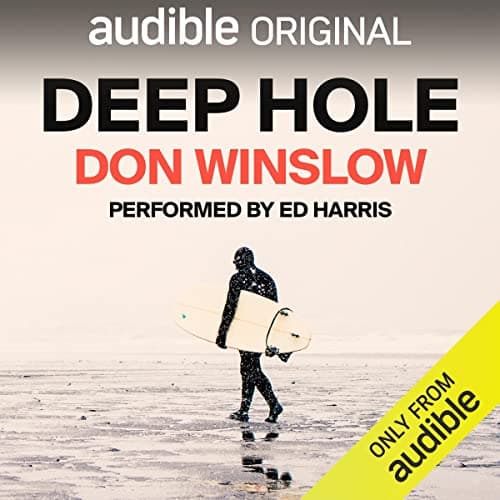 Deep Hole audiobook cover